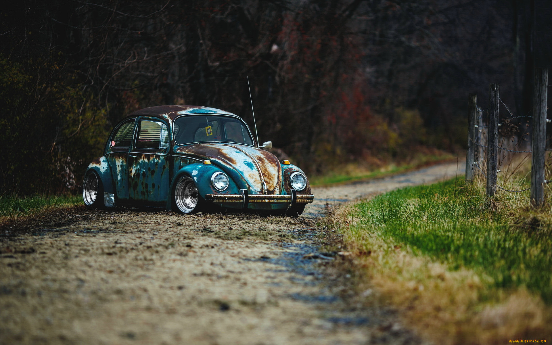 , volkswagen, vw, car, rat, rod, beetle